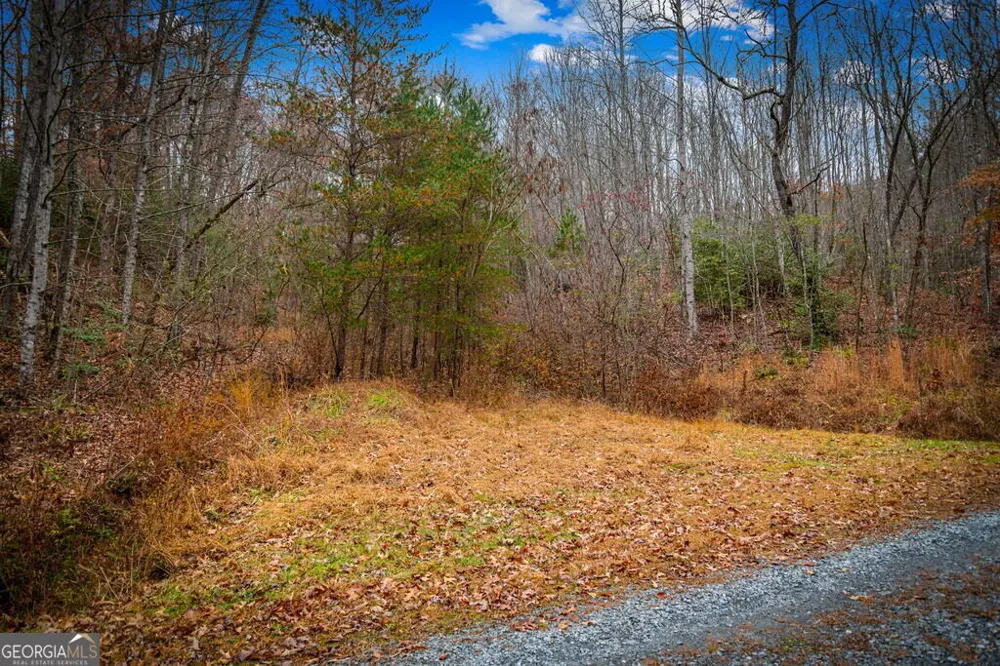 5.97AC Bullen Gap RD Blue Ridge, GA 30513