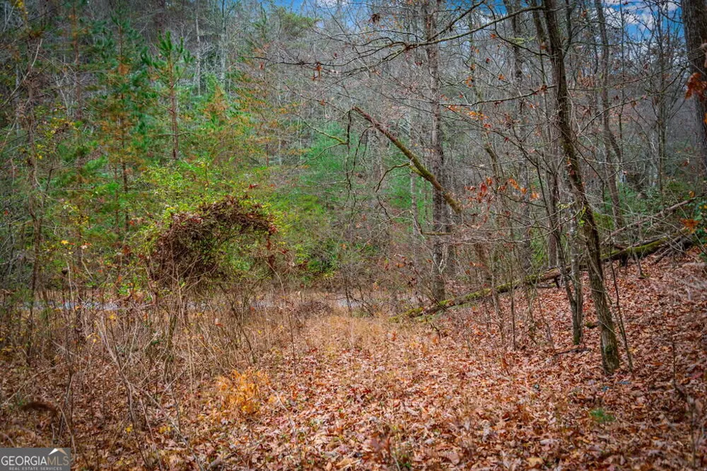 5.97AC Bullen Gap RD Blue Ridge, GA 30513