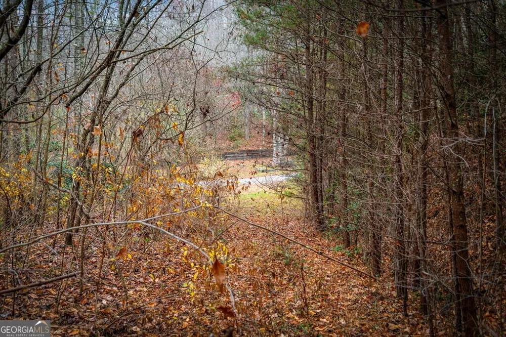 5.97AC Bullen Gap RD Blue Ridge, GA 30513