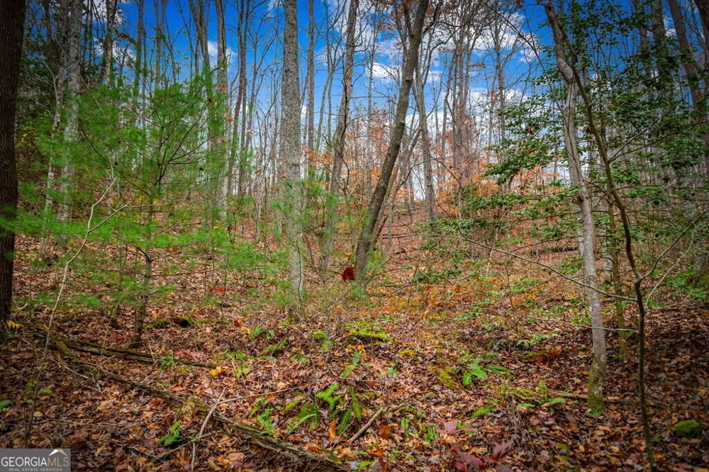 5.97AC Bullen Gap RD Blue Ridge, GA 30513