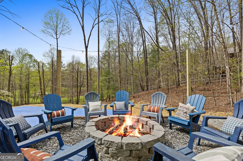 1134 Maggie Chapman RD Blue Ridge, GA 30513