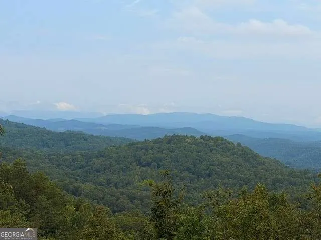 982 Raccoon RDG Ranger, GA 30734