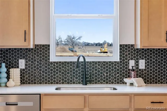 28201 E 4th Place Watkins, CO 80137