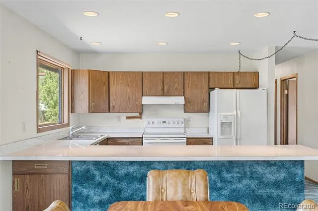143 Meadow Drive Dillon, CO 80435