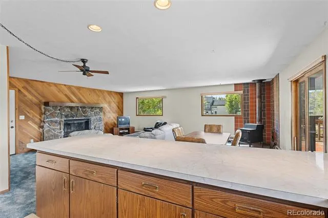 143 Meadow Drive Dillon, CO 80435