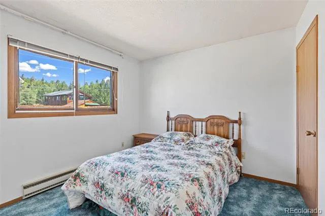 143 Meadow Drive Dillon, CO 80435