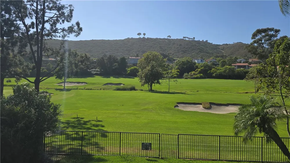 31811 Greens Pointe Laguna Niguel, CA 92677