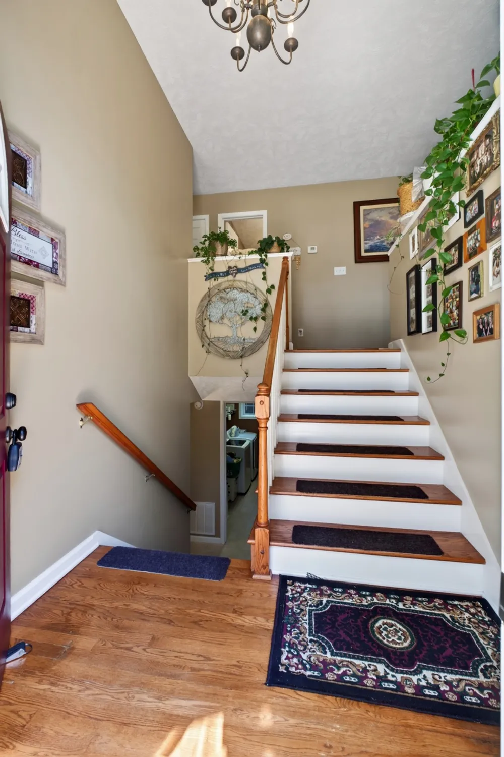 2593 Nova Cir Cookeville, TN 38501