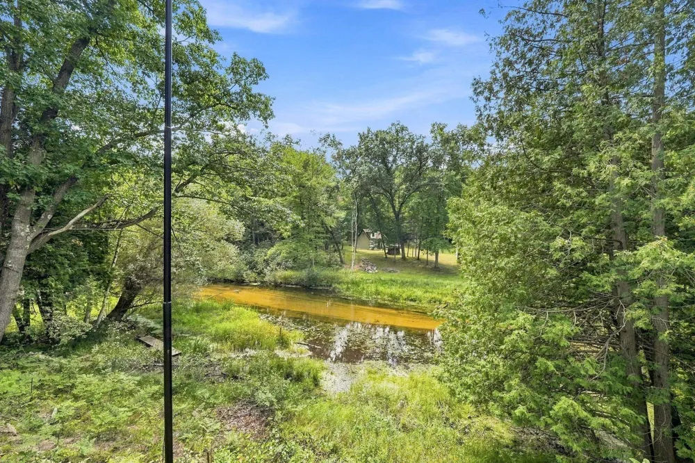 9909 W Lotan Road Lake Township, MI 49651