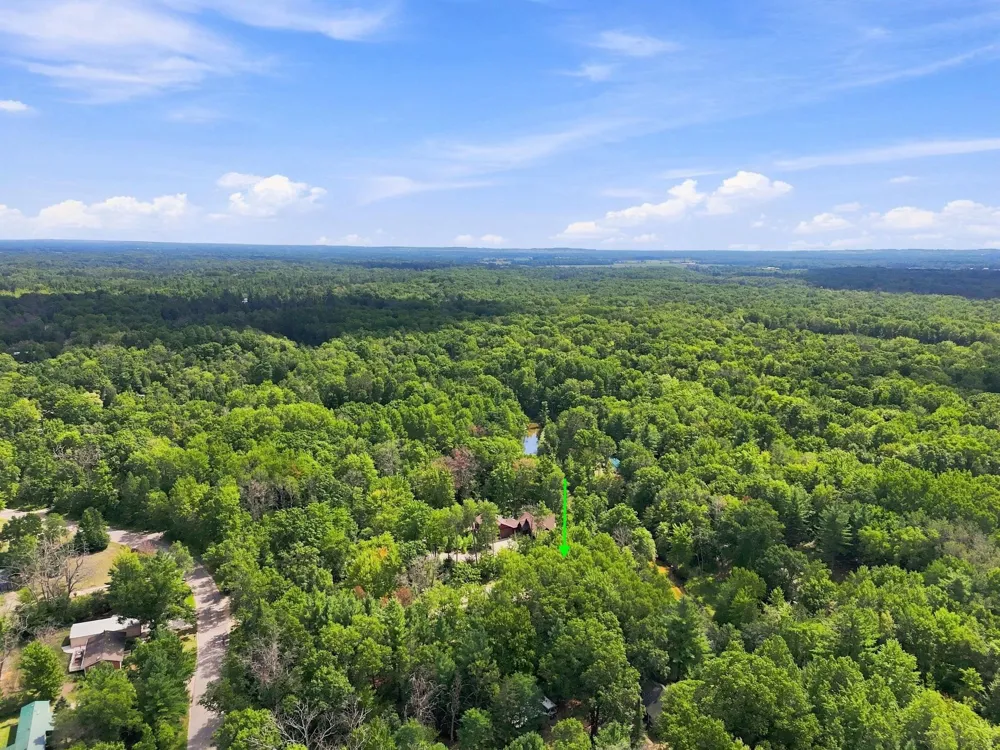 9909 W Lotan Road Lake Township, MI 49651