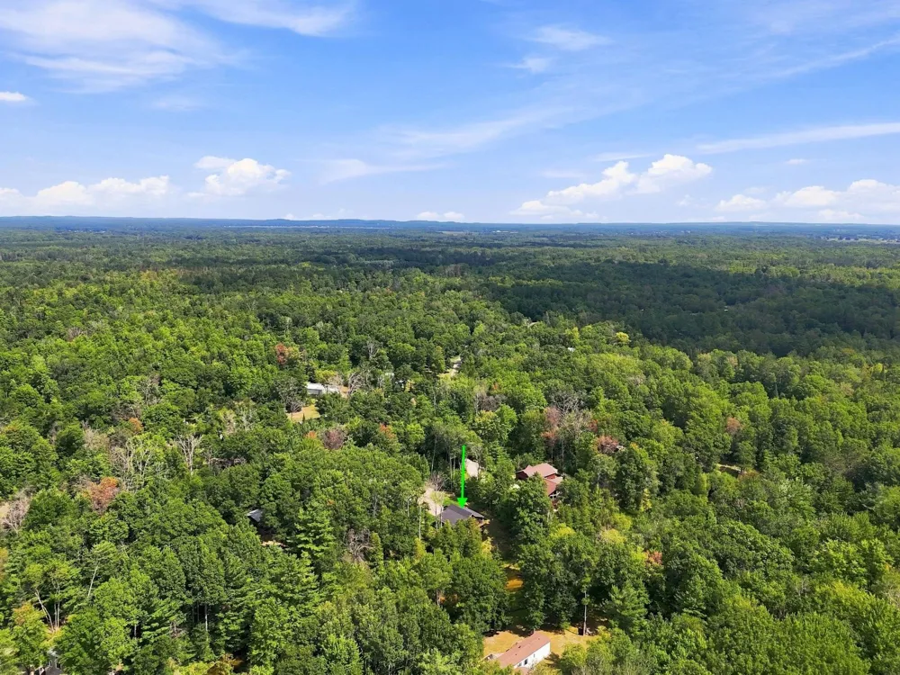 9909 W Lotan Road Lake Township, MI 49651