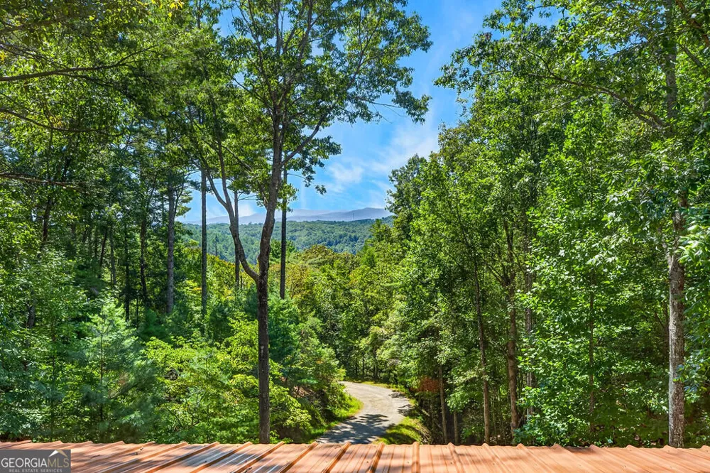161 Walkabout Creek RD Morganton, GA 30560