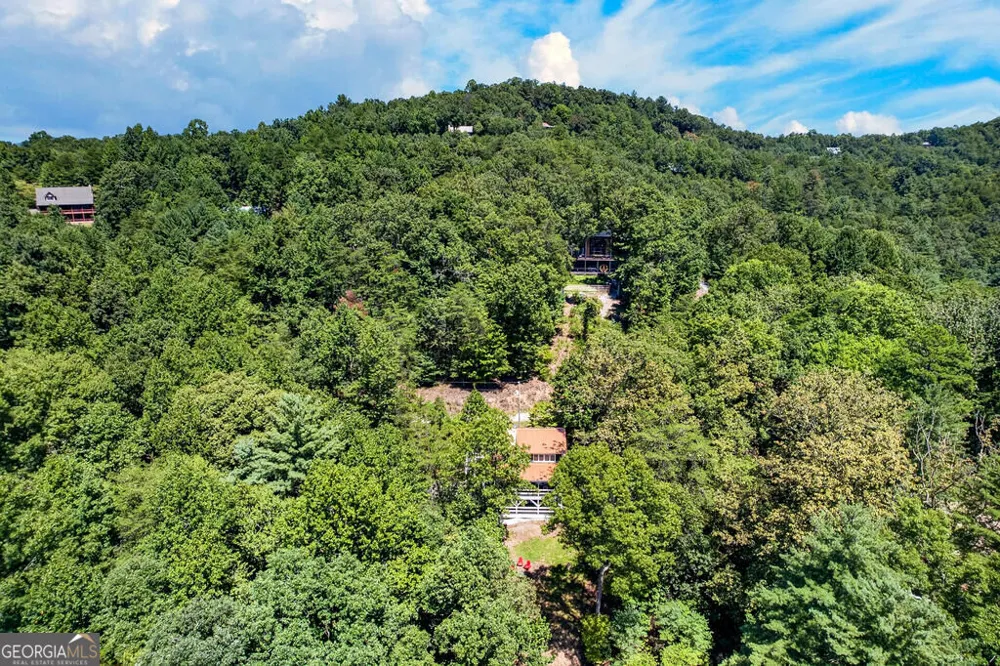 161 Walkabout Creek RD Morganton, GA 30560