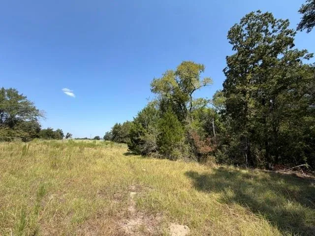 7 Acr 2601 Tennessee Colony, TX 75861