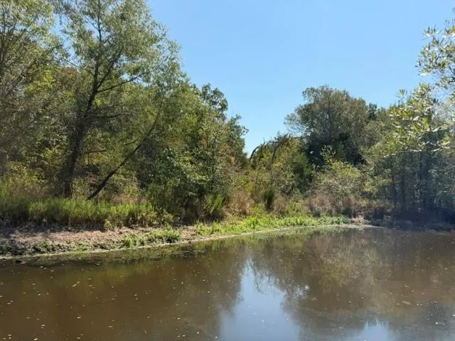 7 Acr 2601 Tennessee Colony, TX 75861