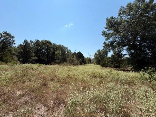 7 Acr 2601 Tennessee Colony, TX 75861