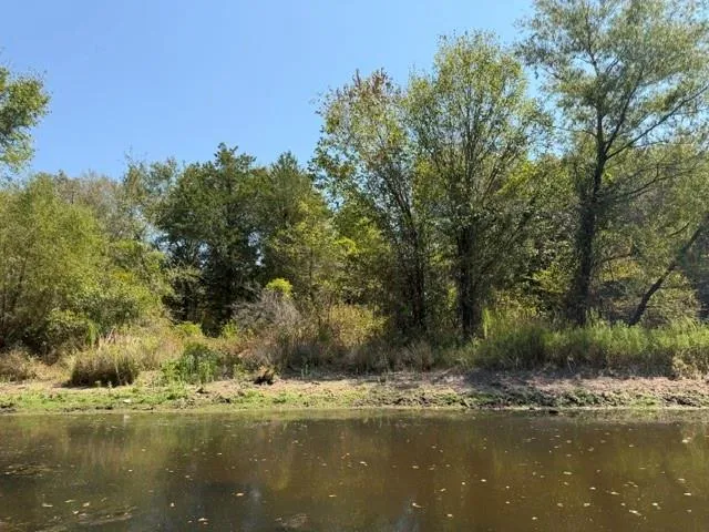 7 Acr 2601 Tennessee Colony, TX 75861
