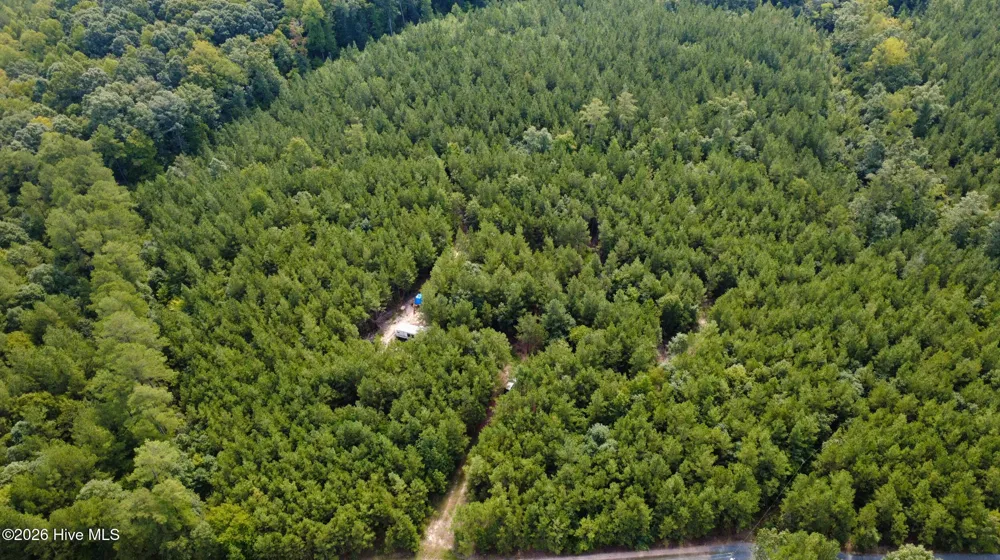 239 Lick Creek Road Carthage, NC 28327