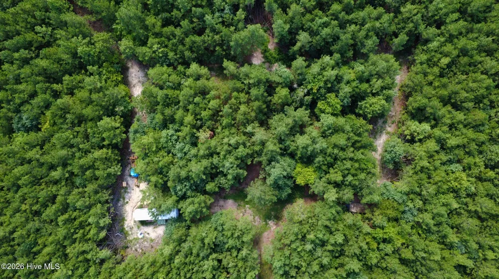 239 Lick Creek Road Carthage, NC 28327