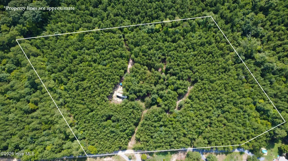 239 Lick Creek Road Carthage, NC 28327