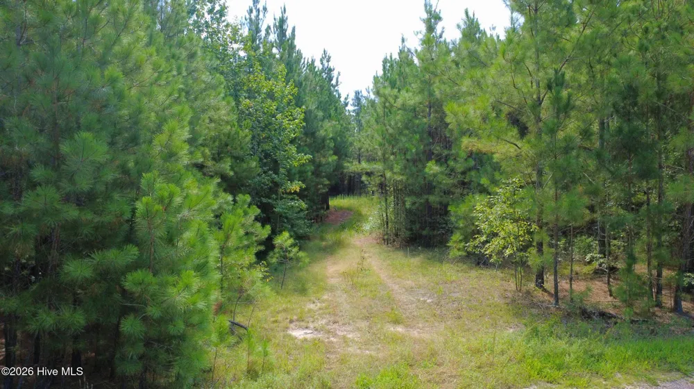 239 Lick Creek Road Carthage, NC 28327