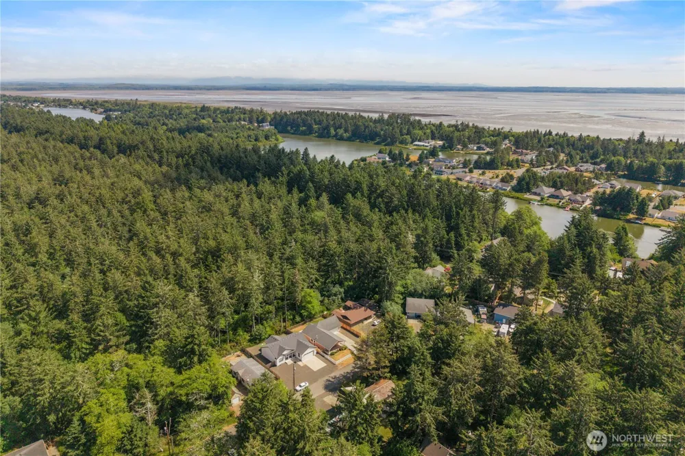 378 Eridani Loop SE Ocean Shores, WA 98569
