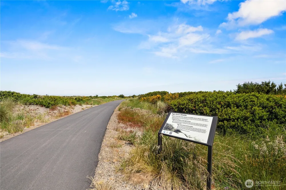 378 Eridani Loop SE Ocean Shores, WA 98569