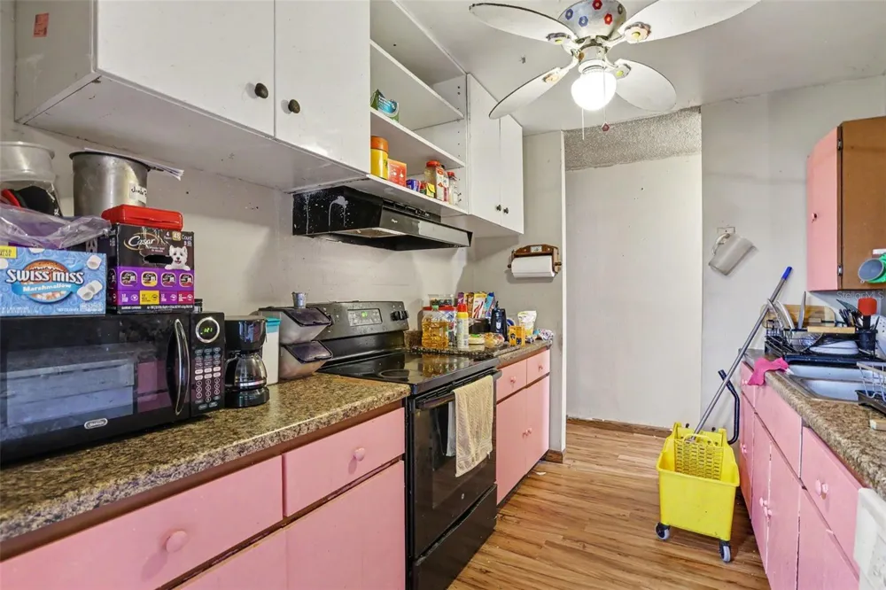 1506 FISH FIN COURT Tampa, FL 33619