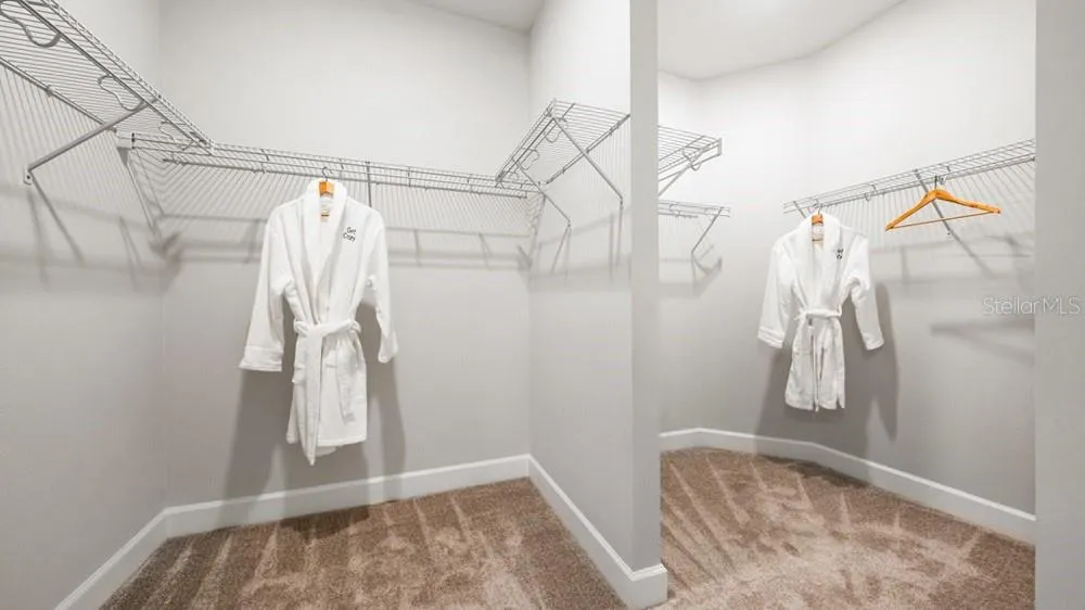 3888 IMMACOLATA WAY Wesley Chapel, FL 33543