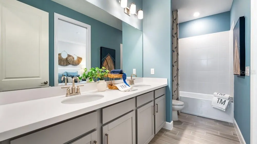 3888 IMMACOLATA WAY Wesley Chapel, FL 33543
