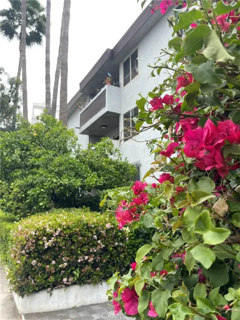 1124 La Cienega Boulevard #202