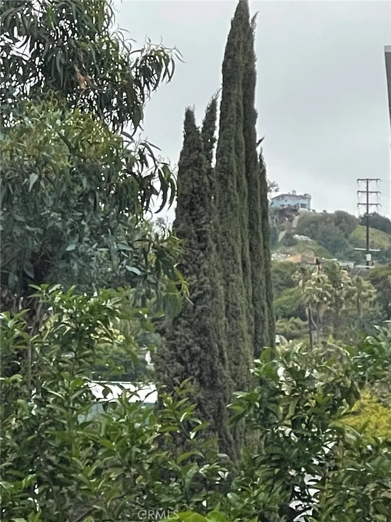 1124 La Cienega Boulevard #202 West Hollywood, CA 90069