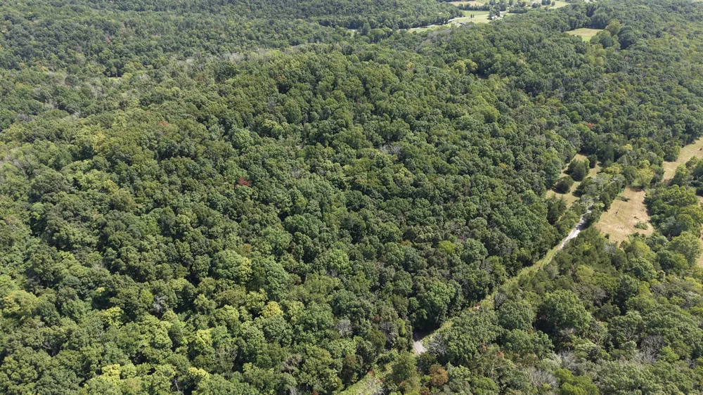 121 Madden Private Ln Bethpage, TN 37022