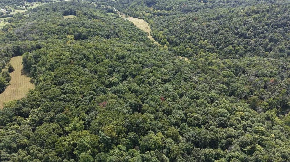 121 Madden Private Ln Bethpage, TN 37022