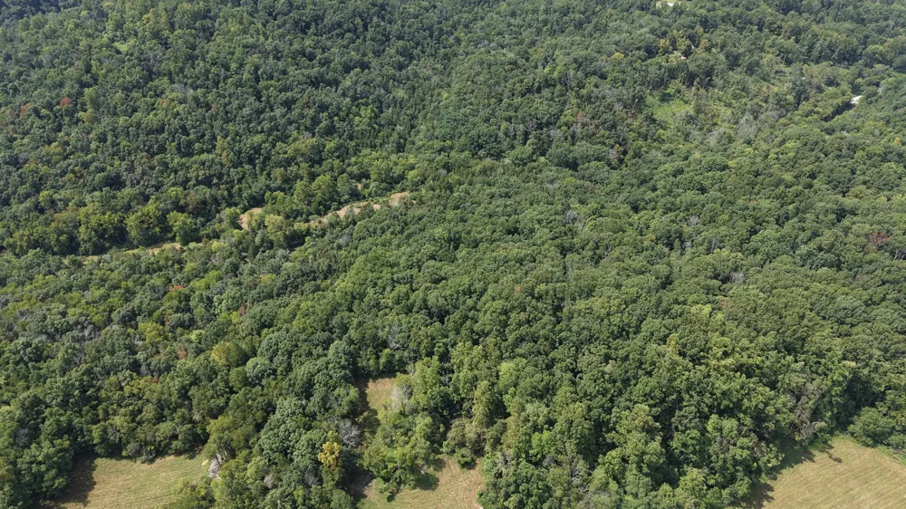 121 Madden Private Ln Bethpage, TN 37022