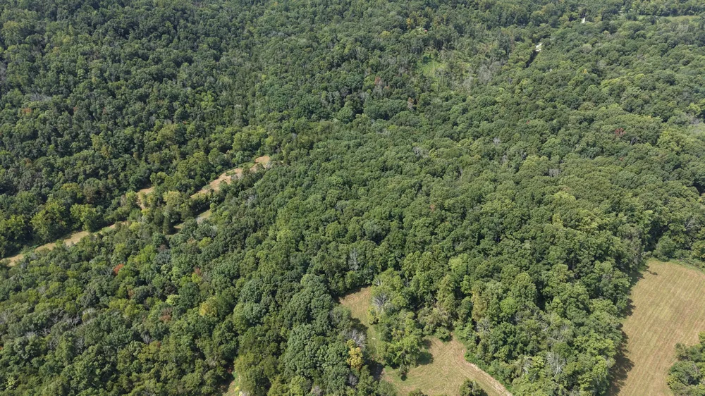 121 Madden Private Ln Bethpage, TN 37022
