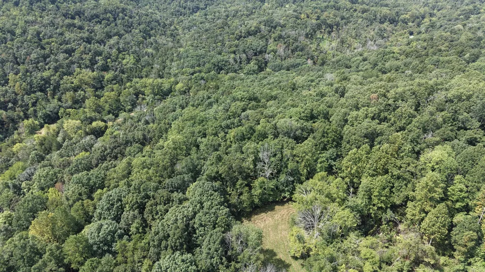 121 Madden Private Ln Bethpage, TN 37022