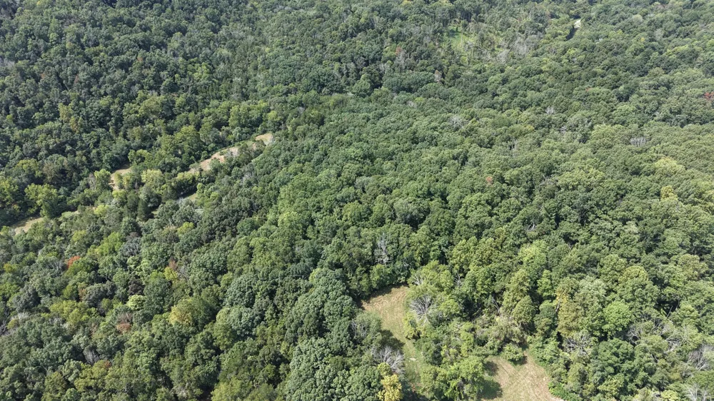 121 Madden Private Ln Bethpage, TN 37022