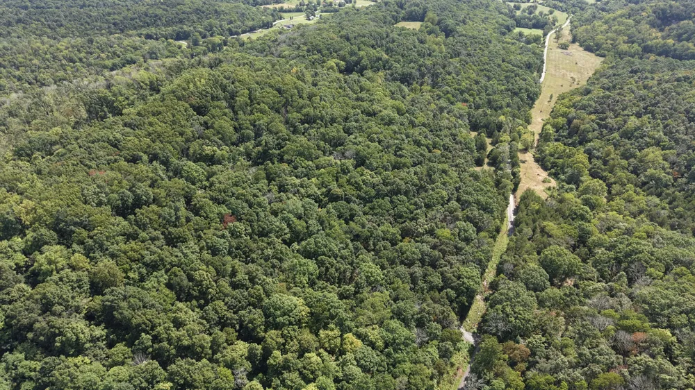 121 Madden Private Ln Bethpage, TN 37022
