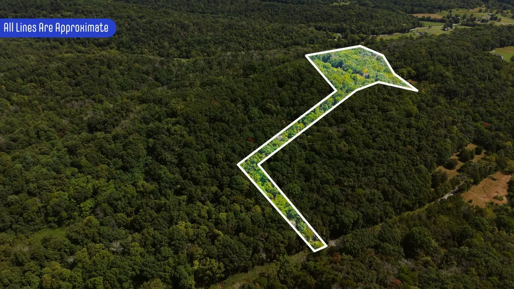 173 Madden Private Ln Bethpage, TN 37022