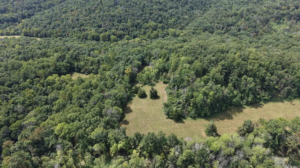 173 Madden Private Ln Bethpage, TN 37022