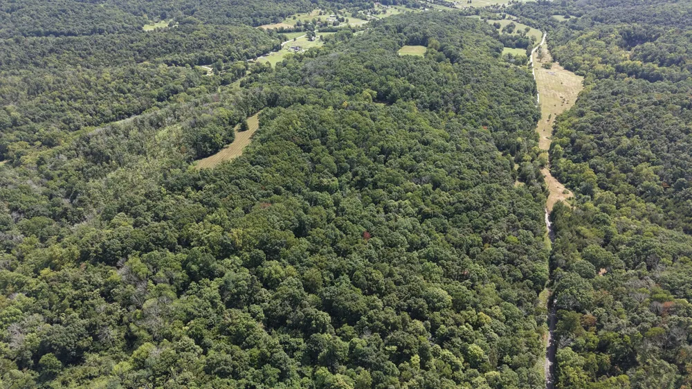 173 Madden Private Ln Bethpage, TN 37022