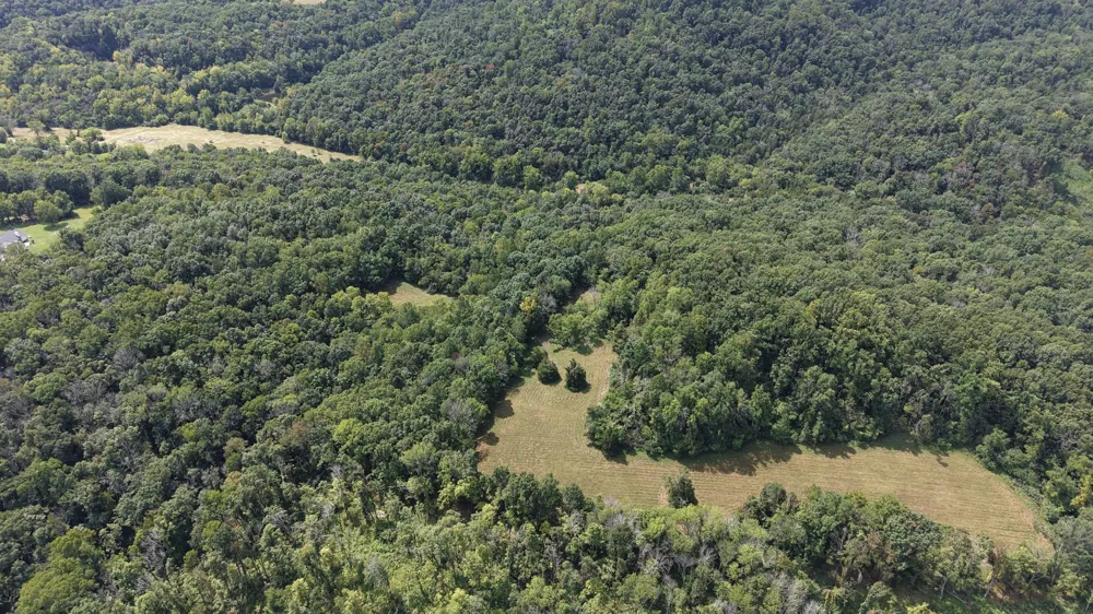 173 Madden Private Ln Bethpage, TN 37022