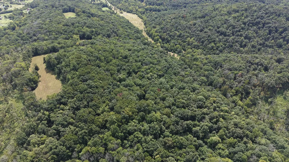 173 Madden Private Ln Bethpage, TN 37022