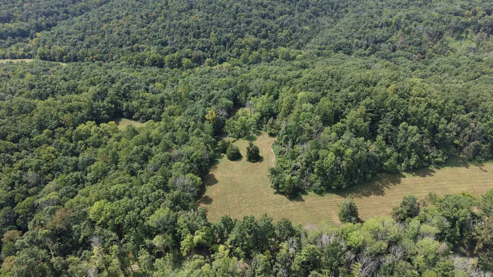 173 Madden Private Ln Bethpage, TN 37022