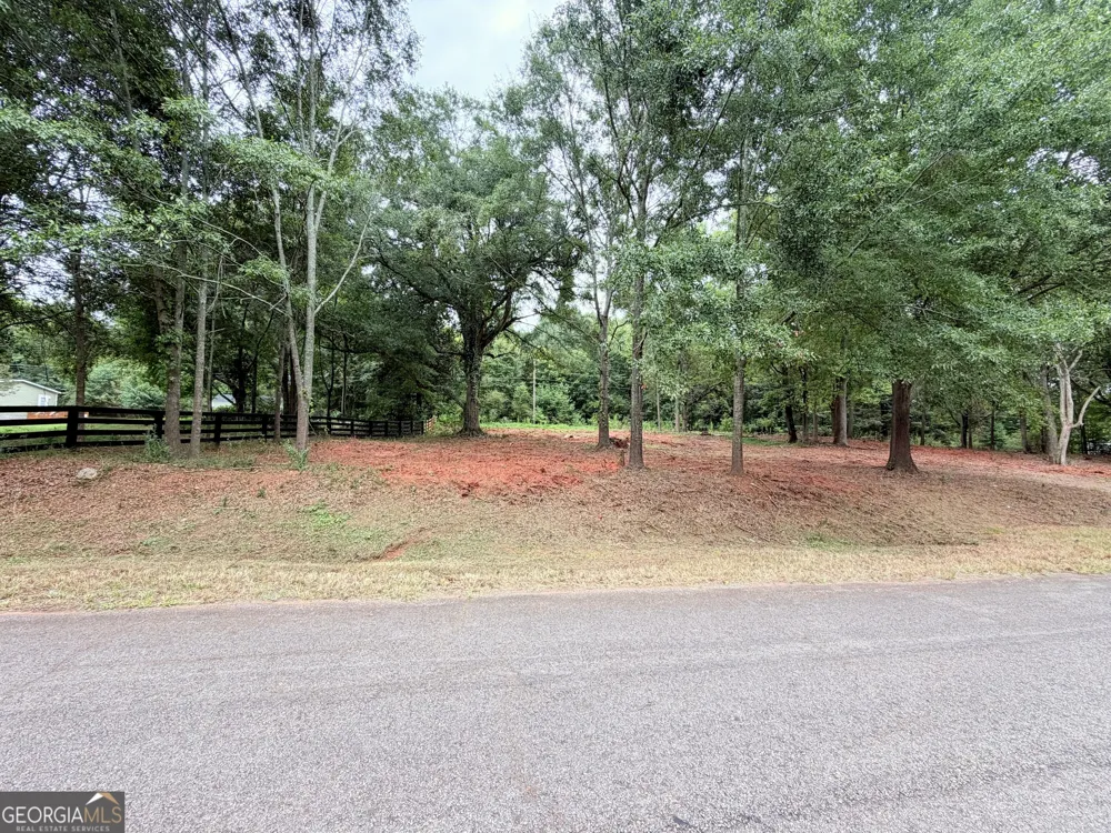 135 Joe Carey RD Winterville, GA 30683