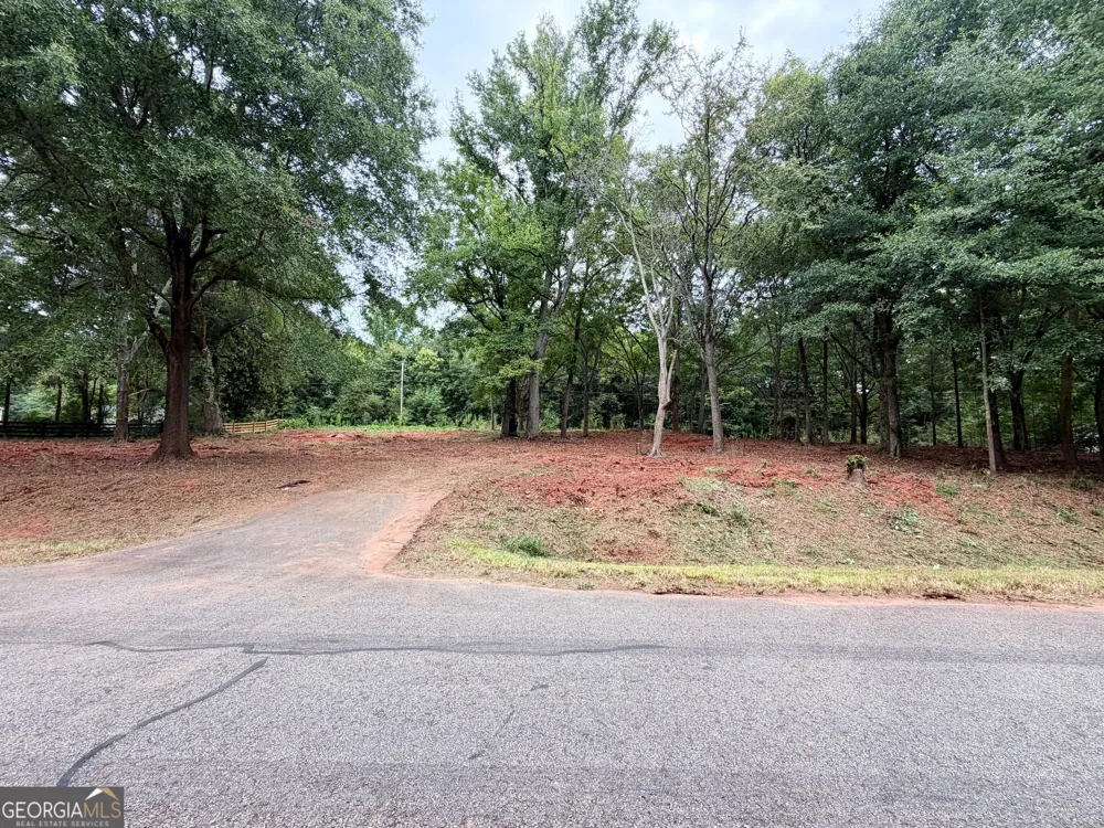 135 Joe Carey RD Winterville, GA 30683