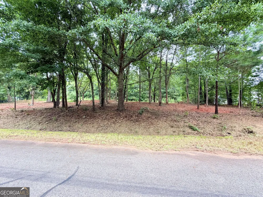 135 Joe Carey RD Winterville, GA 30683