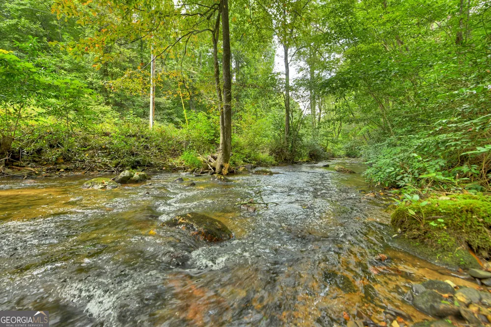 1821 Stanley Creek RD Cherry Log, GA 30522