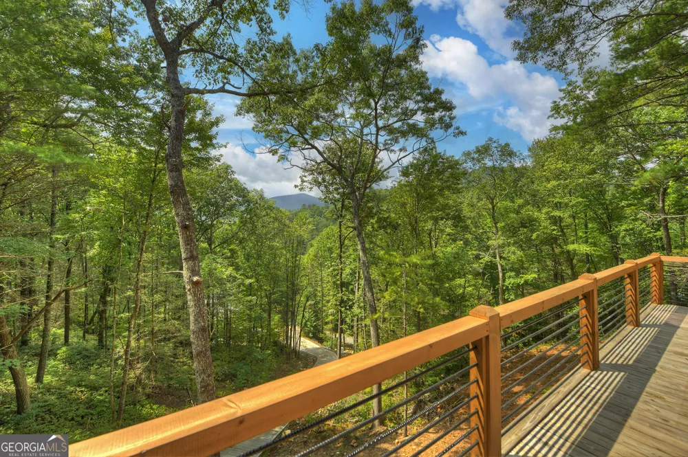 1821 Stanley Creek RD Cherry Log, GA 30522